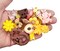 Cute Charm Mix in Brown Peach & Yellow, 30 pieces, Resin and Acrylic Mix, Adorabilities